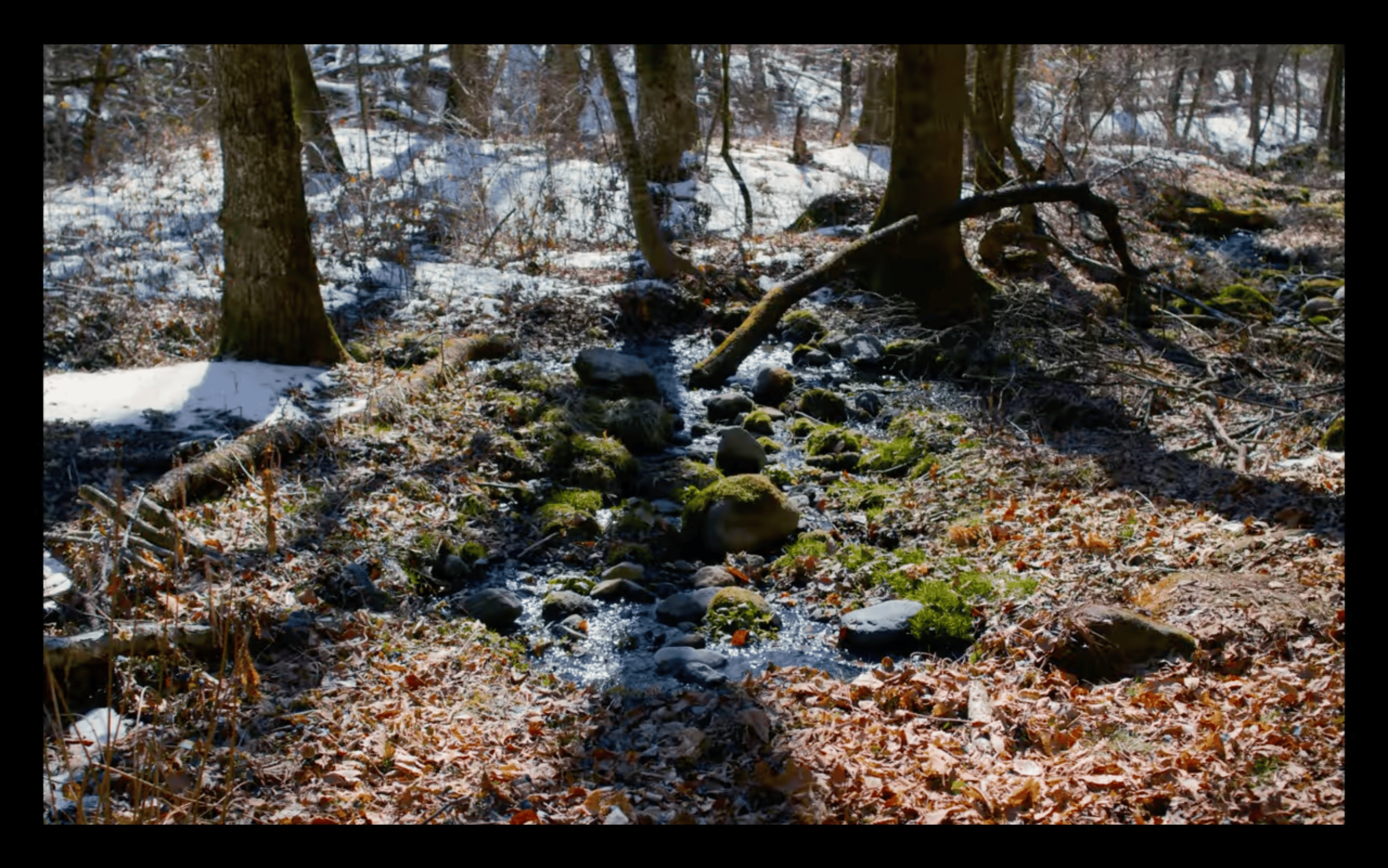 12 Underrated Movies Of 2024 You Must See